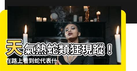 在路上看到蛇代表什麼